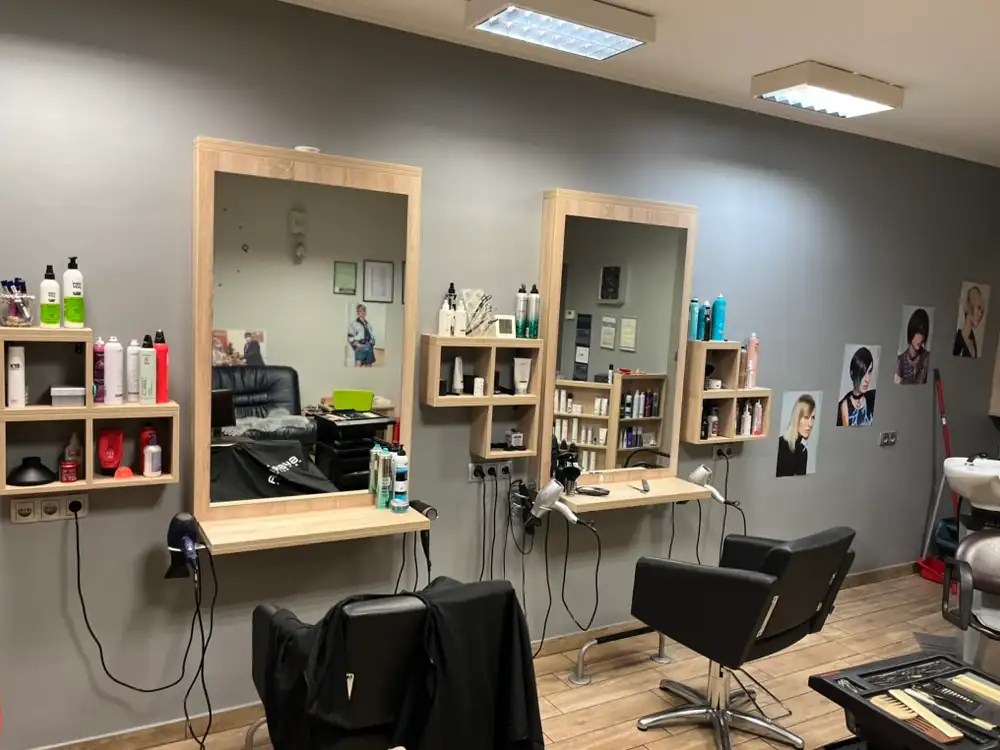 Salon_3